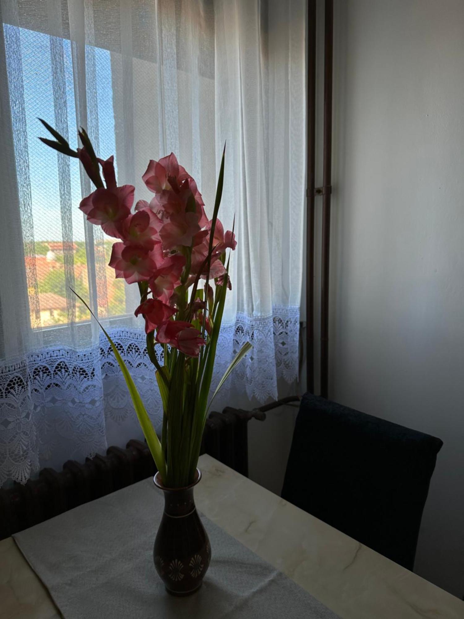 Tamaris Apartment Subotica Ngoại thất bức ảnh